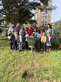 Отбелязване на седмицата на гората - ДГ Божур - Сливен