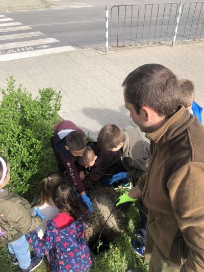 Отбелязване на седмицата на гората 4