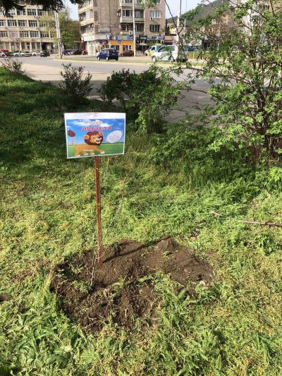 Отбелязване на седмицата на гората 5